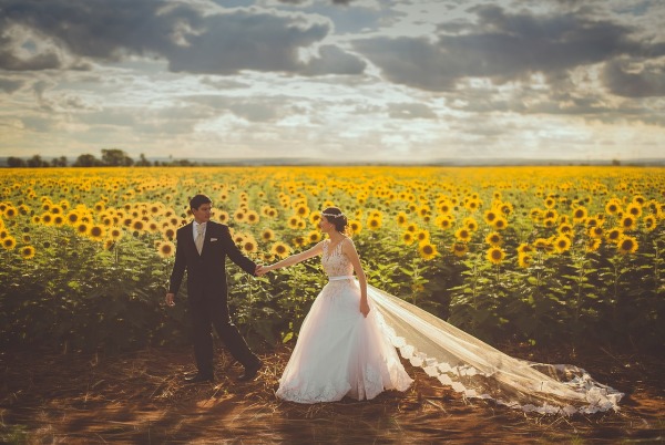 甜蜜的一對男女，特地前往日葵花田拍攝結婚照。